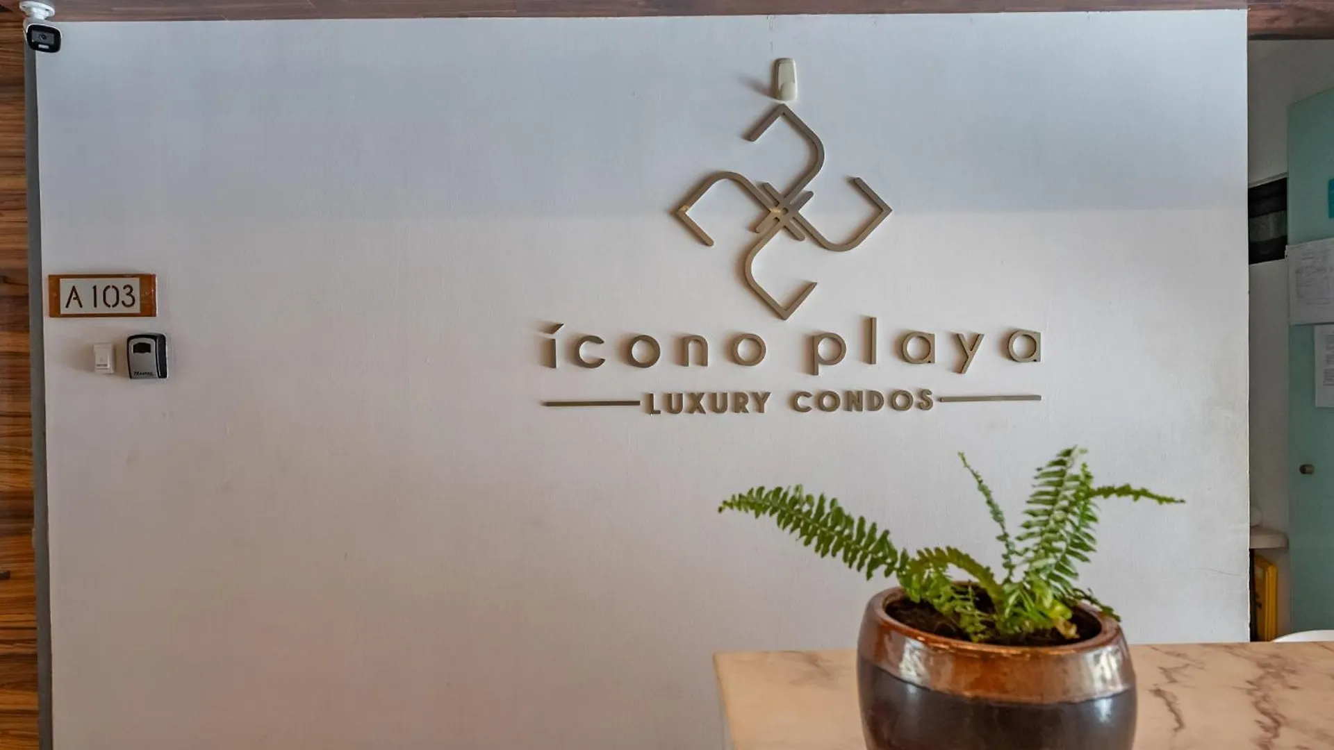 Condo At Icono 3 Bedrooms Close 5Th Playa del Carmen 0*,  Mexico